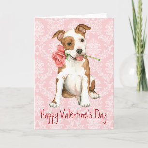 Valentine Rose Am Staff Feiertagskarte