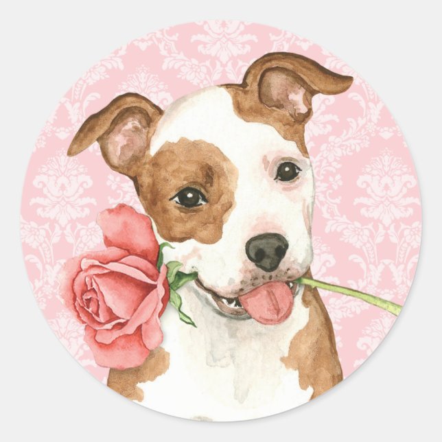 Valentine Rose Am Staff Runder Aufkleber (Vorderseite)