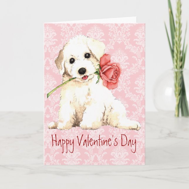Valentine Rose Bichon Feiertagskarte (Vorderseite)