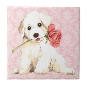 Valentine Rose Bichon Fliese