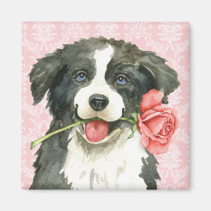 Valentine Rose Border Collie Magnet