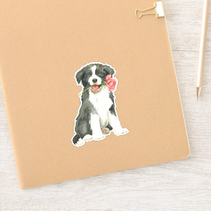 Valentine Rose Border Collie Vinyl Aufkleber