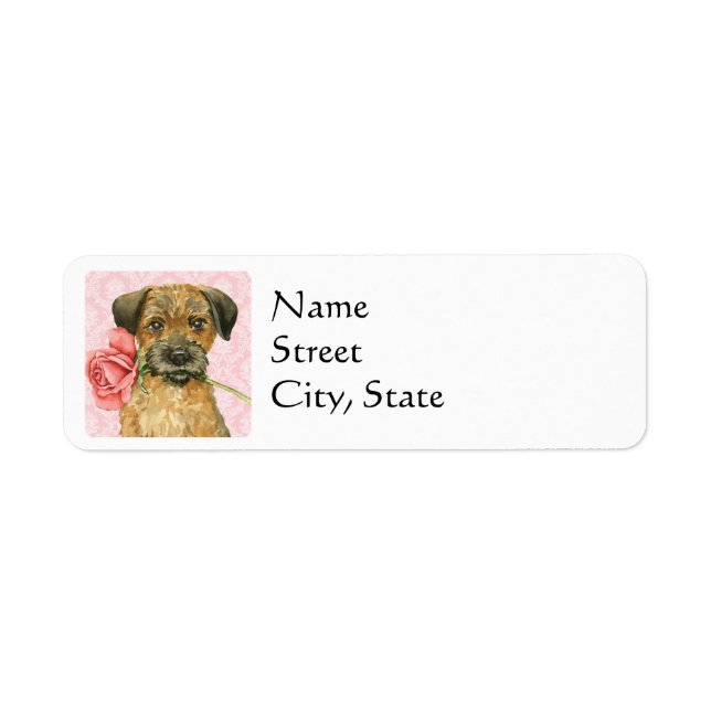 Valentine Rose Border Terrier (Vorne)