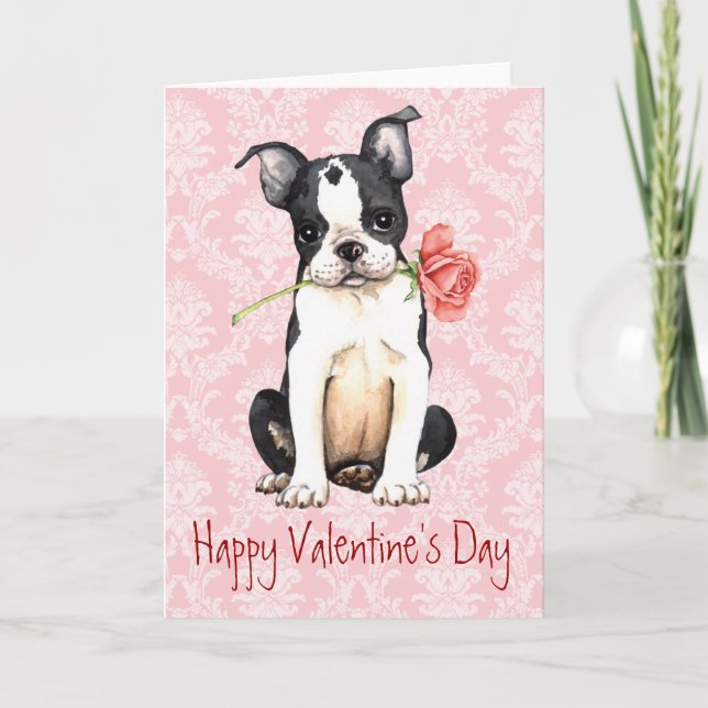 Valentine Rose Boston Terrier Feiertagskarte (Vorderseite)