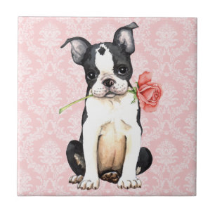 Valentine Rose Boston Terrier Fliese