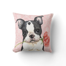 Valentine Rose Boston Terrier