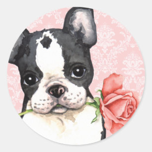 Valentine Rose Boston Terrier Runder Aufkleber