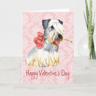 Valentine Rose Cesky Terrier Feiertagskarte
