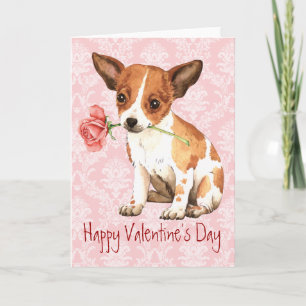 Valentine Rose Chihuahua Feiertagskarte