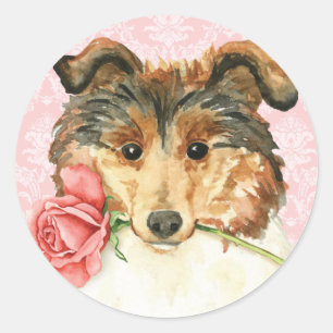 Valentine Rose Collie Runder Aufkleber