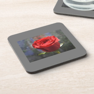 Valentine Rose Cork Untersetzer