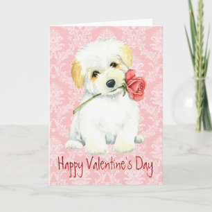 Valentine Rose Coton de Tulear Feiertagskarte