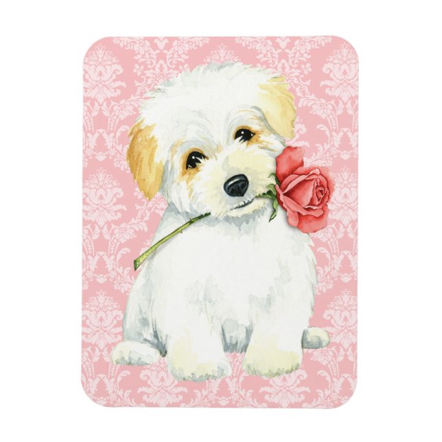 Valentine Rose Coton de Tulear Magnet (Vertikal)