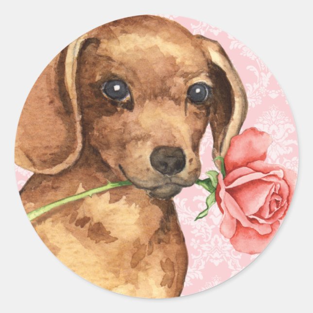 Valentine Rose Dackel Runder Aufkleber (Vorderseite)