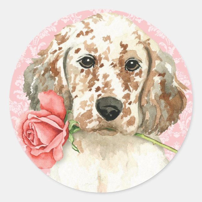Valentine Rose English Setter Runder Aufkleber (Vorderseite)