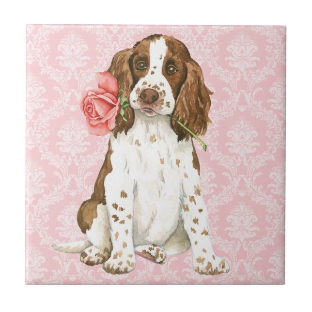 Valentine Rose English Springer Fliese (Vorderseite)