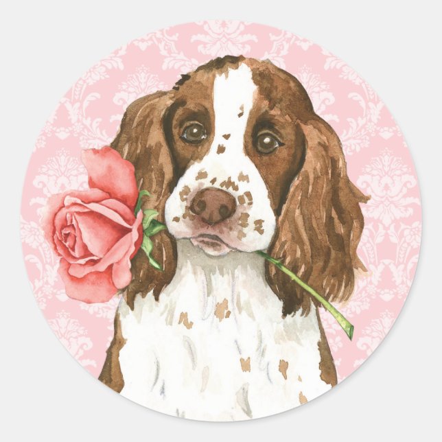 Valentine Rose English Springer Runder Aufkleber (Vorderseite)