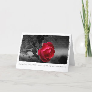 Valentine Rose Fotografie Feiertagskarte