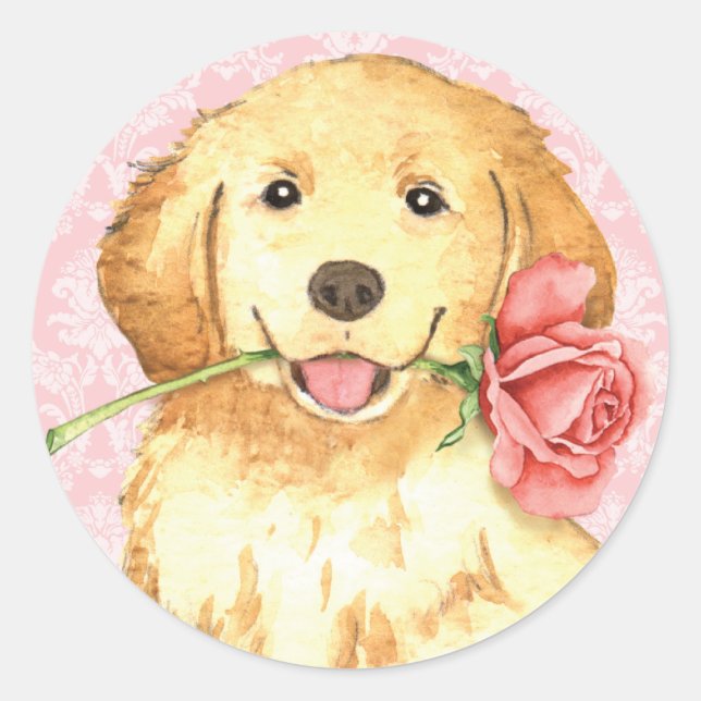 Valentine Rose Golden Retriever Runder Aufkleber (Vorderseite)