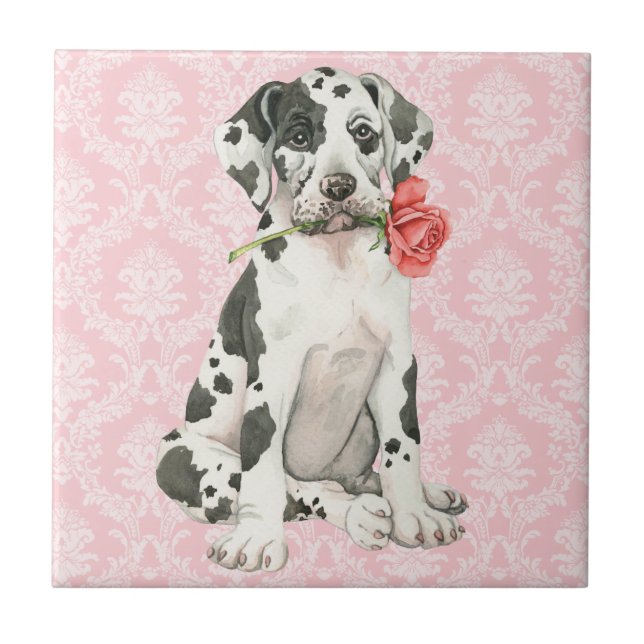Valentine Rose Great Dane Fliese (Vorderseite)