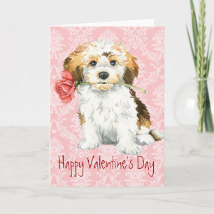Valentine Rose Havanese Feiertagskarte