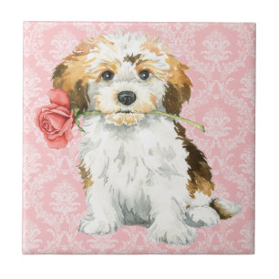 Valentine-Rose Havanese Fliese