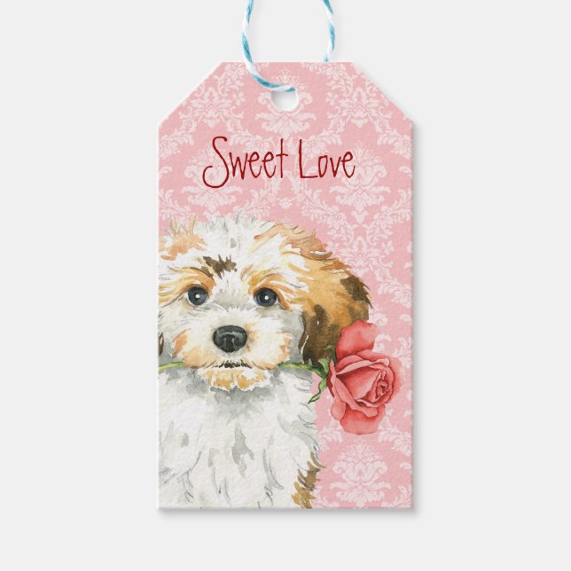 Valentine Rose Havanese Geschenkanhänger (Vorderseite)