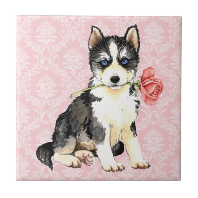 Valentine Rose Husky Fliese (Vorderseite)