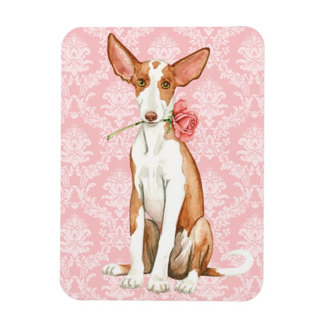 Valentine Rose Ibizan Hound Magnet (Vertikal)