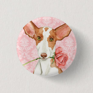 Valentine-Rose Ibizan Jagdhund Button