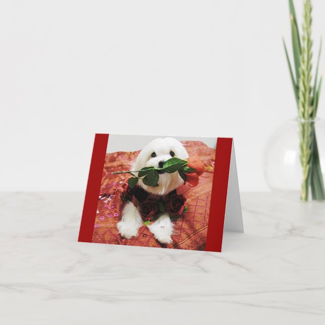 Valentine Rose (innen leer) Feiertagskarte (Vorderseite)