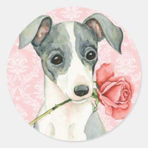 Valentine Rose Italian Greyhound Runder Aufkleber
