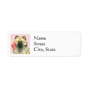 Valentine Rose Keeshond