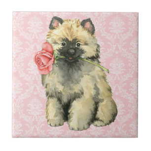 Valentine Rose Keeshond Fliese