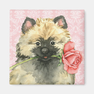 Valentine Rose Keeshond Magnet