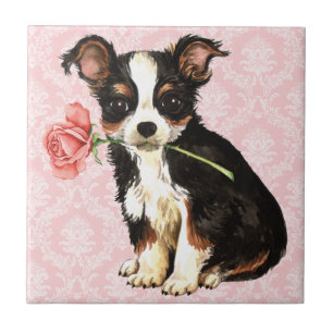 Valentine Rose Long Coat Chihuahua Fliese
