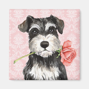 Valentine Rose Mini Schnauzer Magnet