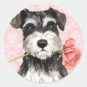 Valentine Rose Mini Schnauzer Runder Aufkleber