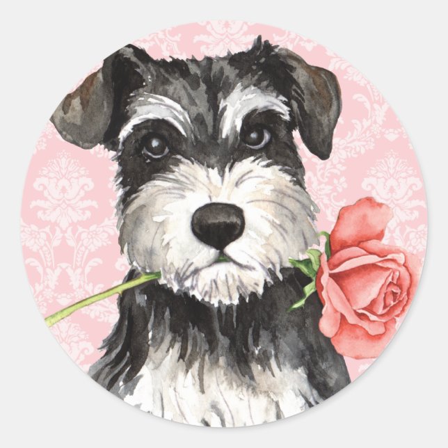 Valentine Rose Mini Schnauzer Runder Aufkleber (Vorderseite)