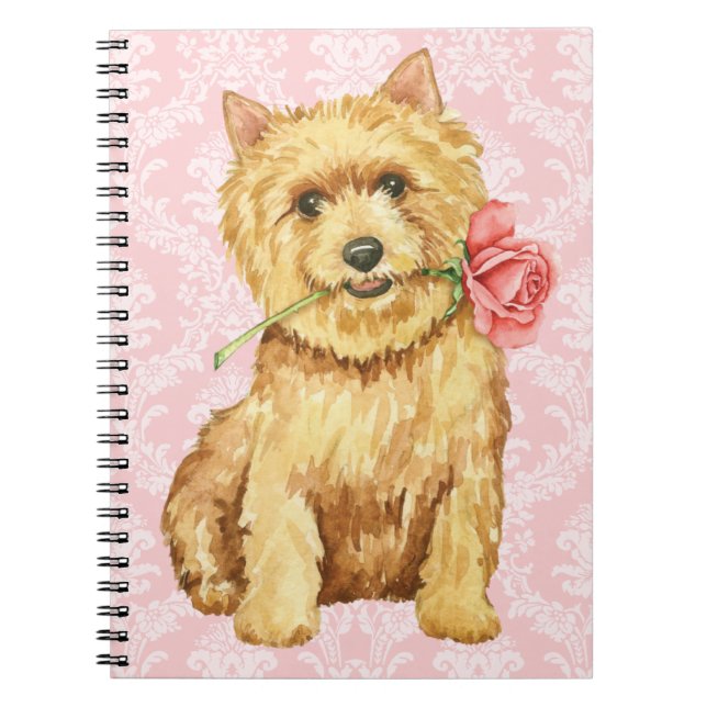 Valentine Rose Norwich Terrier Notizblock (Vorderseite)