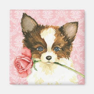 Valentine Rose Papillon Magnet