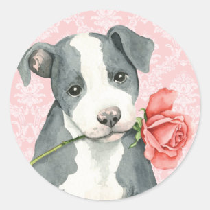 Valentine Rose Pit Bull Runder Aufkleber