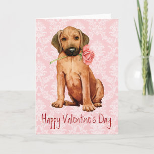 Valentine Rose Rhodesian Ridgeback Feiertagskarte