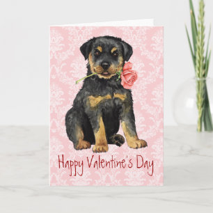 Valentine Rose Rottweiler Feiertagskarte