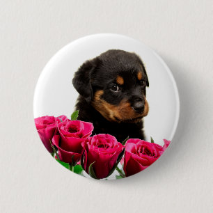 Valentine Rose Rottweiler Puppy Button