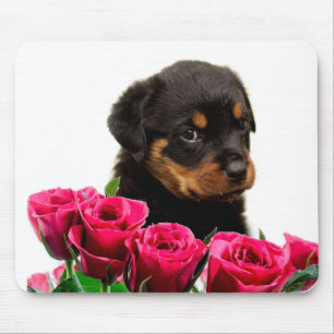 Valentine Rose Rottweiler Puppy Mousepad