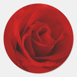 Valentine-Rose Runder Aufkleber