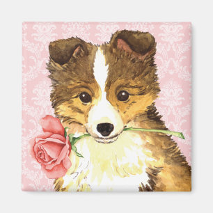 Valentine Rose Sheltie Magnet
