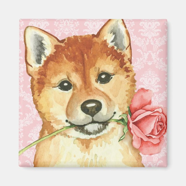 Valentine Rose Shiba Inu Magnet (Vorne)