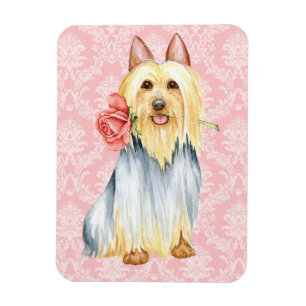 Valentine Rose Silky Terrier Magnet